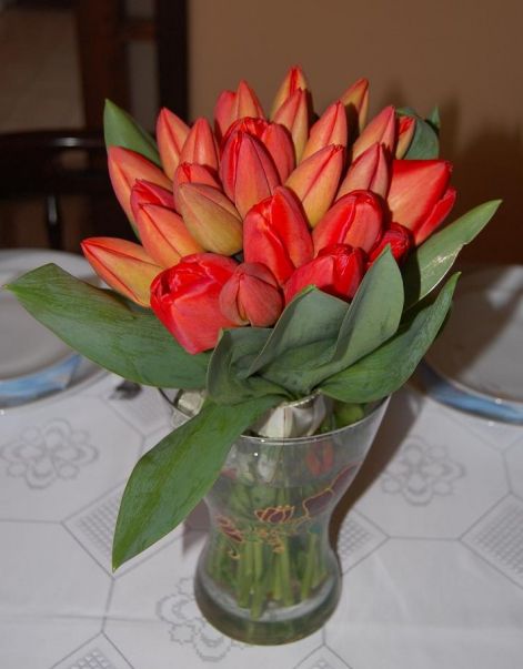 tulipan-csokor.jpg